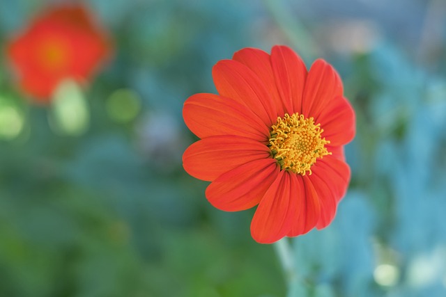 独行侠vs热火前瞻：浓眉PK阿德巴约，独行侠欲冲击三连胜