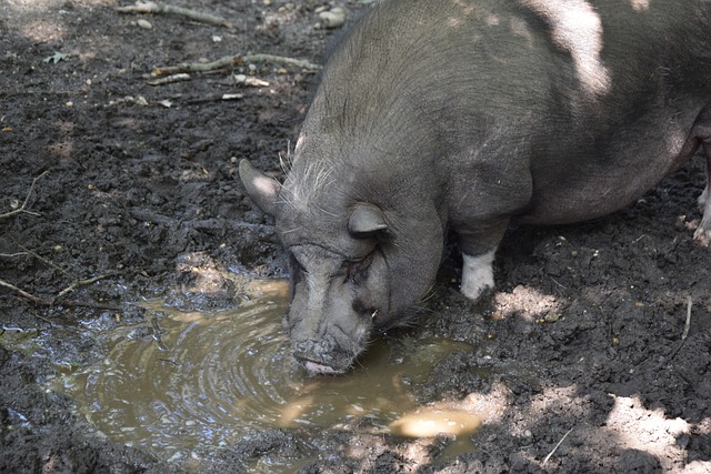 上肢力量对足球的重要性