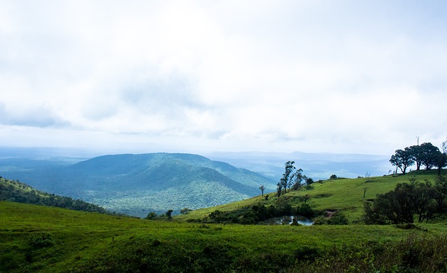 热刺告别战，孙兴慜父亲孙雄正现场观战儿子与纽卡的比赛