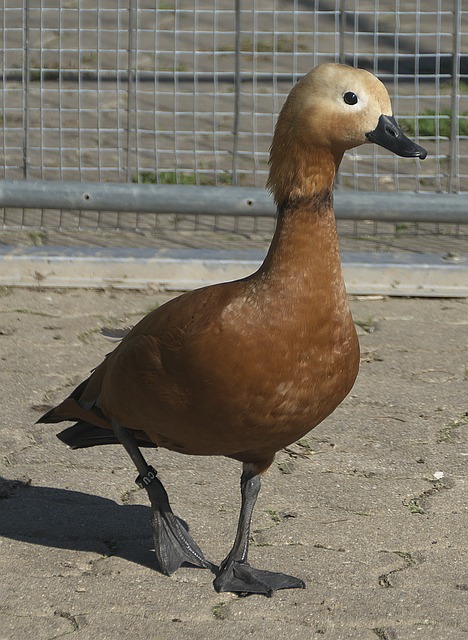 而回顾