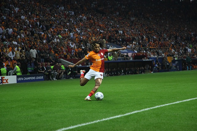 恰恰是湖人 恰恰是湖人