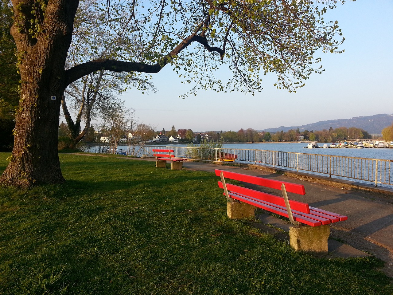 我们期待更 我们期待更