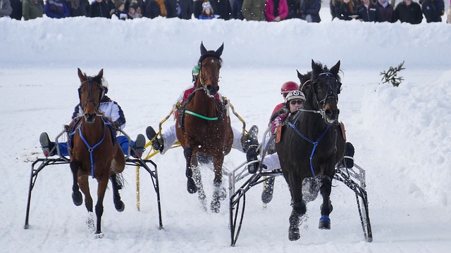 王嶠在采访 王嶠在采访