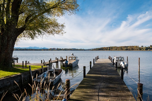 成为游子们 成为游子们