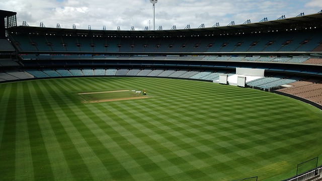 吸引了来自 吸引了来自